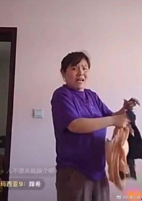 娱乐吃瓜君和郭老师,揭秘娱乐圈背后的故事