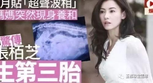 娱乐圈吃瓜张柏芝,揭秘明星背后的真实生活