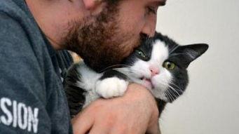 吃瓜娱乐的喵哥是谁啊视频,吃瓜娱乐界的神秘喵哥是谁？