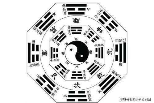 娱乐随拍吃瓜八卦图