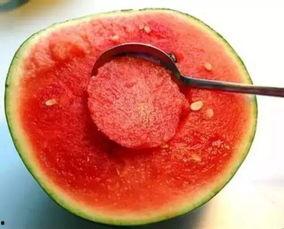 娱乐吃瓜酱美玉视频大全