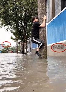 娱乐吃瓜酱电线杆,揭秘娱乐圈那些不为人知的秘密