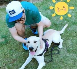 娱乐圈吃瓜小狗小说免费阅读